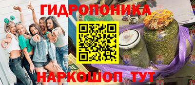 сатива Краснодар