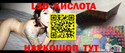сатива Краснодар