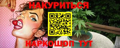 сатива Краснодар