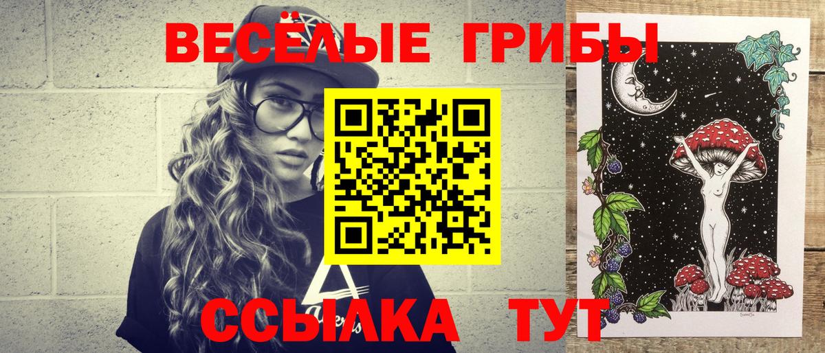 Галлюциногенные грибы Psilocybe  сколько стоит  Краснознаменск  Вход с VPN 