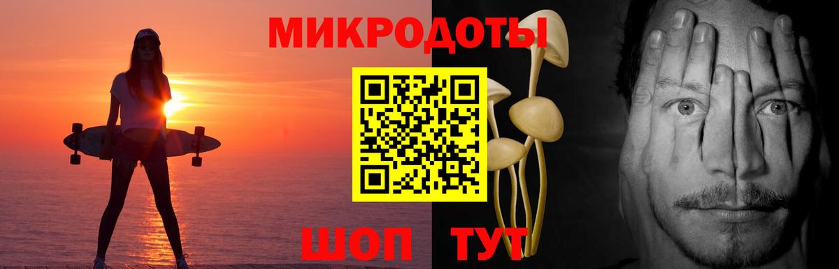 Псилоцибиновые грибы Psilocybe Краснознаменск